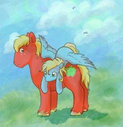 Size: 671x696 | Tagged: safe, artist:paintedyoko, big macintosh, derpy hooves, earth pony, pony, male, stallion