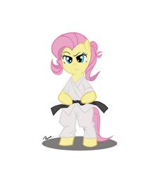 Size: 1300x1500 | Tagged: safe, artist:celine-artnsfw, fluttershy, pegasus, pony, badass, bipedal, black belt, clothes, costume, fearless, flutterbadass, gi, karate, martial arts, robe, serious, serious face, trousers