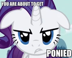 Size: 600x484 | Tagged: safe, rarity, pony, unicorn, caption, female, horn, image macro, mare, white coat