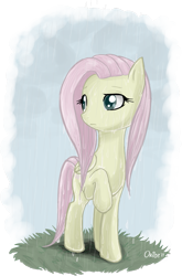 Size: 491x746 | Tagged: safe, artist:lisaorise, fluttershy, pegasus, pony, female, mare, pink mane, solo, yellow coat