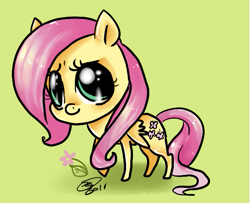 Size: 551x448 | Tagged: dead source, safe, artist:conphettey, fluttershy, pegasus, pony, catchlights, chibi, female, flower, highlights, mare, simple background, solo