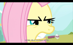 Size: 768x480 | Tagged: safe, screencap, fluttershy, pegasus, pony, putting your hoof down, hub logo, youtube caption