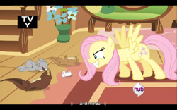 Size: 768x480 | Tagged: safe, screencap, fluttershy, pegasus, pony, putting your hoof down, flutterrage, hub logo, tv rating, youtube caption