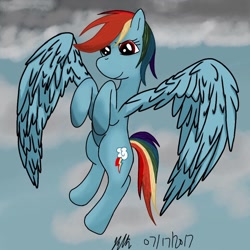 Size: 984x984 | Tagged: safe, artist:bleuey, derpibooru import, rainbow dash, pegasus, pony, female, flying, large wings, mare, signature, solo, wings