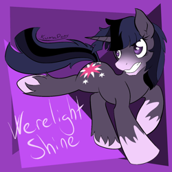 Size: 1000x1000 | Tagged: safe, artist:rainbowdrool, derpibooru import, twilight sparkle, tumblr, twilight unbound, werelight shine