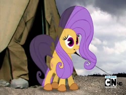Size: 768x576 | Tagged: safe, screencap, fluttershy, pegasus, pony, cartoon network, expy, mad (tv series), mad magazine, my little war horse, pony cameo, pony reference, tent, youtube link
