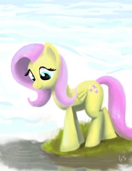 Size: 776x1009 | Tagged: safe, artist:gsphere, fluttershy, pegasus, pony, female, mare, solo, water