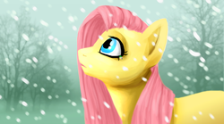 Size: 1440x800 | Tagged: safe, artist:bluebirdrae288, fluttershy, pegasus, pony, snow, snowfall, solo