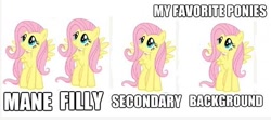 Size: 540x240 | Tagged: safe, fluttershy, pegasus, pony, female, mare, meta, my favorite ponies, pink mane, yellow coat