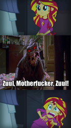 Size: 289x520 | Tagged: safe, screencap, sunset shimmer, equestria girls, rainbow rocks, exploitable meme, ghostbusters, meme, nostalgia critic, sunset screamer, vulgar, zuul