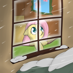 Size: 1000x1000 | Tagged: safe, artist:theparagon, fluttershy, pegasus, pony, snow, snowfall, solo, window