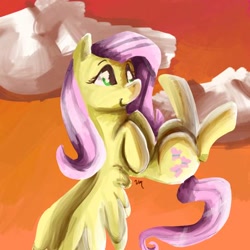 Size: 480x480 | Tagged: safe, artist:destroymuse, fluttershy, pegasus, pony, female, mare, pink mane, solo, yellow coat