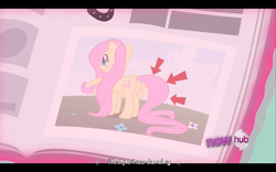 Size: 960x600 | Tagged: safe, screencap, fluttershy, pegasus, pony, ponyville confidential, female, mare, youtube caption