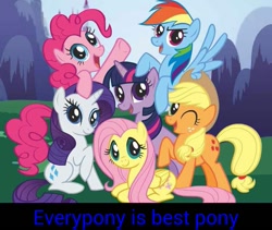 Size: 813x687 | Tagged: safe, derpibooru import, applejack, fluttershy, pinkie pie, rainbow dash, rarity, twilight sparkle, earth pony, pegasus, pony, unicorn, image macro, mane six