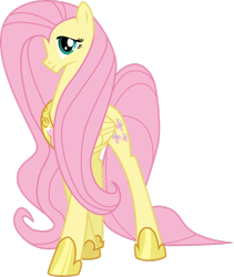 Size: 900x1067 | Tagged: safe, artist:multiversecafe, fluttershy, pegasus, pony, alternate body style, element of kindness, older, simple background, solo, transparent background, vector