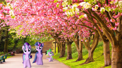 Size: 1920x1080 | Tagged: safe, artist:cutesieart, artist:geometrymathalgebra, artist:mr-kennedy92, artist:myardius, spike, starlight glimmer, twilight sparkle, twilight sparkle (alicorn), alicorn, pony, female, irl, mare, pathway, photo, ponies in real life, shadow, spring, stairs, stroll, tree, vector