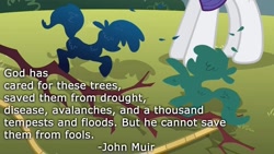 Size: 800x450 | Tagged: safe, artist:wisdomhoof, edit, edited screencap, screencap, rarity, pony, unicorn, look before you sleep, john muir, quote, text, topiary, tree