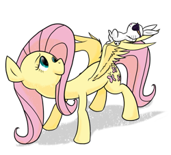 Size: 737x670 | Tagged: safe, artist:kymsnowman, angel bunny, fluttershy, pegasus, pony, female, mare, sunglasses