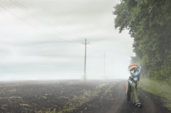 Size: 3646x2420 | Tagged: safe, artist:toanderic, derpibooru import, rainbow dash, pony, fog, irl, photo, photography, russia, solo, travelling