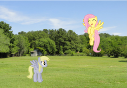 Size: 969x676 | Tagged: safe, artist:lorettafox, derpy hooves, fluttershy, pony, irl, photo, ponies in real life, scrunchy face, vector