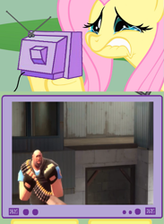 Size: 563x771 | Tagged: safe, fluttershy, pegasus, pony, exploitable meme, heavy, kiss me, meme, scout, team fortress 2, tv meme