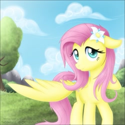 Size: 649x649 | Tagged: safe, artist:skyheavens, fluttershy, pegasus, pony, female, mare, pink mane, solo, yellow coat