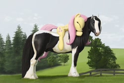 Size: 1200x800 | Tagged: safe, artist:lostdragon01, fluttershy, oc, horse, pegasus, pony, canon x oc, female, fence, gypsy vanner, horse-pony interaction, hug, mare, pinto, ponies riding horses, ponies riding ponies, tree