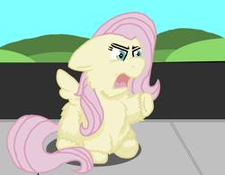 Size: 1483x1151 | Tagged: safe, artist:fluffsplosion, fluttershy, fluffy pony, pegasus, pony, angry, fluffyshy