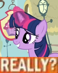 Size: 448x556 | Tagged: safe, derpibooru import, twilight sparkle, image macro, meme, solo, why.jpg