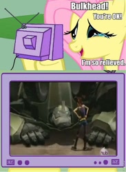 Size: 564x772 | Tagged: safe, fluttershy, pegasus, pony, bulkhead, exploitable meme, hub logo, meme, miko, miko nakadai, roflbot, transformers, tv meme