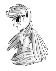 Size: 700x882 | Tagged: dead source, safe, artist:xioade, derpibooru import, rainbow dash, pegasus, pony, monochrome, sketch, solo