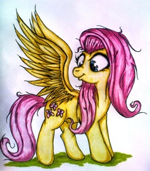 Size: 1458x1655 | Tagged: safe, artist:tomek2289, fluttershy, pegasus, pony, female, looking at self, looking at something, mare, messy mane, solo, spread wings, standing, traditional art, wings