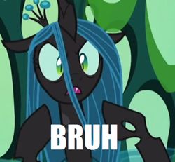 Size: 520x480 | Tagged: safe, edit, edited screencap, editor:watermelon changeling, screencap, queen chrysalis, changeling, changeling queen, to where and back again, bruh, female, queen bruhsalis, solo