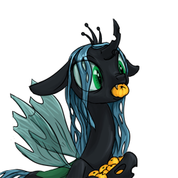 Size: 1000x1000 | Tagged: safe, artist:kovoranu, queen chrysalis, changeling, changeling queen, female, food, fruit, mouth hold, simple background, solo, tangerine, transparent background