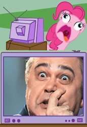 Size: 562x815 | Tagged: safe, pinkie pie, pony, exploitable meme, meme, petrosyan, photo, pinkie frogmouth, tv meme