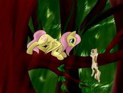 Size: 2560x1920 | Tagged: safe, artist:weird--fish, fluttershy, cat, pegasus, pony, forest, tree