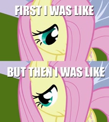 Size: 640x720 | Tagged: safe, edit, edited screencap, screencap, fluttershy, pegasus, pony, at first i was like but then i was like, female, hair over one eye, looking away, looking down, mare, reaction image, shy, solo