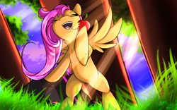 Size: 3200x2000 | Tagged: safe, artist:72-hours-remain, fluttershy, pegasus, pony, apple, bipedal, drool, drool string, eating, grass, happy, high res, lidded eyes, perspective, solo, tree