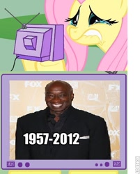 Size: 401x500 | Tagged: safe, fluttershy, pegasus, pony, exploitable meme, meme, michael clarke duncan, tv meme