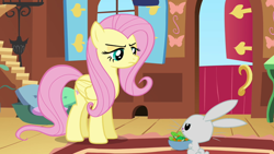 Size: 640x360 | Tagged: safe, screencap, angel bunny, fluttershy, pegasus, pony, rabbit, female, mare, pet, pink mane, yellow coat