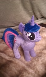 Size: 1952x3264 | Tagged: safe, artist:sockfuzzy, derpibooru import, twilight sparkle, irl, photo, plushie, solo