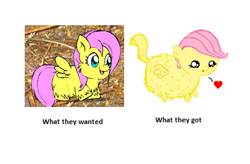 Size: 425x279 | Tagged: safe, artist:marcusmaximus, fluttershy, fluffy pony, pegasus, pony, comparison, fluffyshy