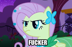 Size: 300x196 | Tagged: safe, fluttershy, pegasus, pony, clothes, dress, image macro, vulgar