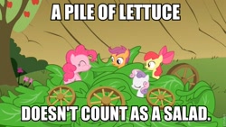 Size: 894x503 | Tagged: safe, apple bloom, pinkie pie, scootaloo, sweetie belle, earth pony, pony, one bad apple, caption, cutie mark crusaders, image macro, veggie salad, wheel