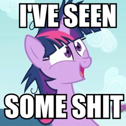 Size: 600x601 | Tagged: safe, derpibooru import, twilight sparkle, i've seen some shit, image macro, reaction image, twilight snapple, vulgar