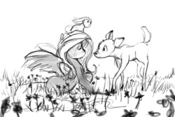 Size: 875x583 | Tagged: safe, artist:noben, angel bunny, fluttershy, deer, pegasus, pony, grayscale, monochrome, sketch