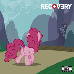 Size: 800x800 | Tagged: safe, artist:adrianimpalamata, pinkie pie, earth pony, pony, album cover, eminem, music