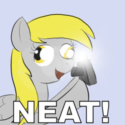 Size: 500x500 | Tagged: safe, derpy hooves, pegasus, pony, camera, camera flashes, derp, female, happy, hoof hold, image macro, mare, neat, open mouth, reaction image, smiling, solo, you're doing it wrong