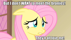 Size: 820x463 | Tagged: safe, fluttershy, pegasus, pony, caption, female, image macro, mare, meta