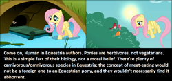 Size: 1025x485 | Tagged: safe, fluttershy, pegasus, pony, calibri, female, mare, meta, text